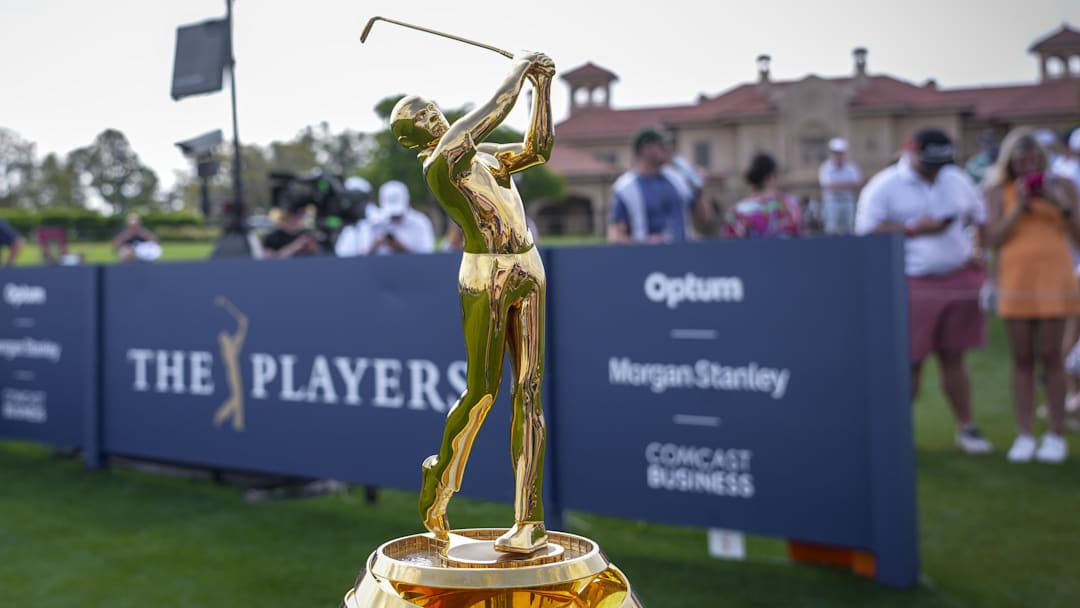 模板幻灯片演示